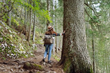 Güneşli bir günde, şık bir kazak ve şapka giyerek yemyeşil bir ormanı keşfeden neşeli bir kadın.