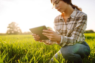 Genç bir kadın yemyeşil çimenlerde diz çökerken tablet kullanarak gülümsüyor. Zirai üretimde elektronik, teknoloji ve mobil uygulamalar kullanarak modern akıllı tarım kavramı.