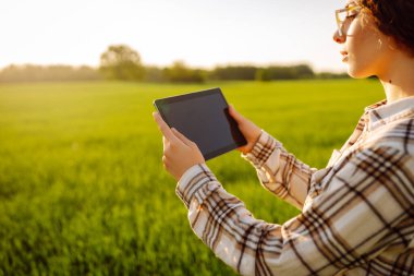 Genç bir kadın yemyeşil çimenlerde diz çökerken tablet kullanarak gülümsüyor. Zirai üretimde elektronik, teknoloji ve mobil uygulamalar kullanarak modern akıllı tarım kavramı.