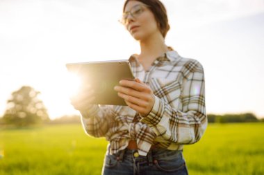 Genç bir kadın yemyeşil çimenlerde diz çökerken tablet kullanarak gülümsüyor. Zirai üretimde elektronik, teknoloji ve mobil uygulamalar kullanarak modern akıllı tarım kavramı.