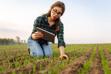 Genç bir kadın tarlada diz çöküp toprakta yetişen küçük filizleri yakından inceliyor. Güneş batarken gözlemlerini kaydeden bir tablet tutuyor. Akıllı Çiftlik.