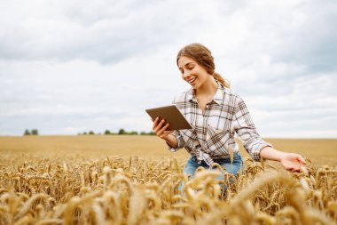 Genç bir kadın tabletine bakarken uçsuz bucaksız bir altın buğday tarlasının ortasında durarak bulutlu bir gökyüzünün altındaki kırsal manzaranın tadını çıkarıyor. Akıllı çiftlik. Tarım, organik bahçe..