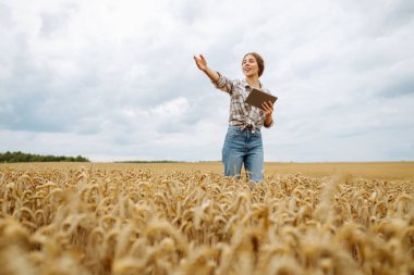 Genç bir kadın tabletine bakarken uçsuz bucaksız bir altın buğday tarlasının ortasında durarak bulutlu bir gökyüzünün altındaki kırsal manzaranın tadını çıkarıyor. Akıllı çiftlik. Tarım, organik bahçe..