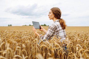 Genç bir kadın tabletine bakarken uçsuz bucaksız bir altın buğday tarlasının ortasında durarak bulutlu bir gökyüzünün altındaki kırsal manzaranın tadını çıkarıyor. Akıllı çiftlik. Tarım, organik bahçe..