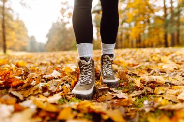 Botları kapatın. Bir insan, canlı sonbahar yapraklarıyla kaplı bir yolda yürüyor, ağaçlarla çevrili, güneşli bir günün tadını çıkarıyor. Boş zamanlardaki sağlıklı yaşam tarzı.