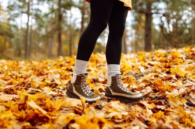 Botları kapatın. Bir insan, canlı sonbahar yapraklarıyla kaplı bir yolda yürüyor, ağaçlarla çevrili, güneşli bir günün tadını çıkarıyor. Boş zamanlardaki sağlıklı yaşam tarzı.