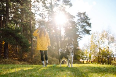 Sarı ceket giyen gülümseyen bir kadın, parktaki güneşli bir günün sıcaklığında güneşlenerek, canlı sonbahar yaprakları arasında boğuk köpeğiyle oynuyor. İri köpek. Dostluk, evcil hayvan ve insan.