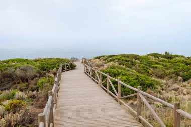 Ahşap bir yürüyüş yolu yemyeşil kıyı bitkilerinin arasından geçiyor ve dikkatleri sakin denize yönlendiriyor. Bulutlu gökyüzü dingin bir atmosfer ekler..
