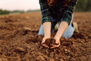 Yumuşak topraklarda diz çökmüş bir birey, öğleden sonra güneşinin altında verimli toprakların ekolojisini incelemek için toprağı inceliyor.. 