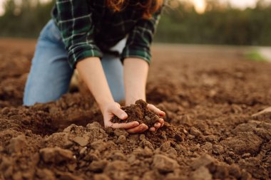 Yumuşak topraklarda diz çökmüş bir birey, öğleden sonra güneşinin altında verimli toprakların ekolojisini incelemek için toprağı inceliyor.. 