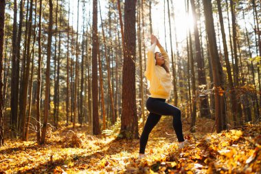 Bir kadın, sonbaharda yapraklar ve uzun ağaçlarla çevrili güneşli bir ormanda yoga yapıyor. Heather yaşam tarzı.
