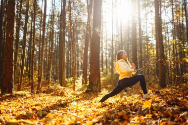 Bir kadın, sonbaharda yapraklar ve uzun ağaçlarla çevrili güneşli bir ormanda yoga yapıyor. Heather yaşam tarzı.