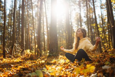 Bir kadın, sonbaharda yapraklar ve uzun ağaçlarla çevrili güneşli bir ormanda yoga yapıyor. Heather yaşam tarzı.