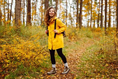 Sarı yağmurluklu genç bir kadın güneşli bir öğleden sonra yürüyüşü sırasında renkli yeşilliklerle dolu canlı bir sonbahar ormanını keşfediyor. Sonbahar manzarası.