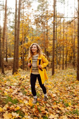 Sarı yağmurluklu genç bir kadın güneşli bir öğleden sonra yürüyüşü sırasında renkli yeşilliklerle dolu canlı bir sonbahar ormanını keşfediyor. Sonbahar manzarası.