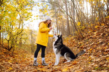 Sarı ceketli bir kadın, rengarenk yapraklarla dolu bir ormanda kabuğuyla sonbahar gününün tadını çıkarıyor. Bir evcil hayvan sahibi köpeğiyle vakit geçirir. Eğlence anlayışı, eğlence.