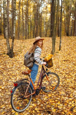 Bir kadın altın sonbahar ormanında bisiklet sürerken öğleden sonra güneş ışığında renkli yapraklarla dolu bir sepetin tadını çıkarıyor. Etkin yaşam biçimi.