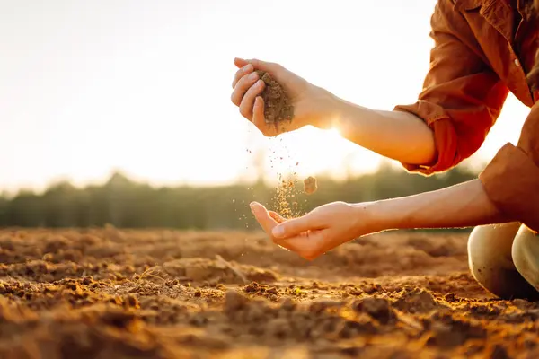 stock image A young farmer kneels on the ground at sunset, cradling a handful of dark, fertile soil while surrounded by a landscape, highlighting the connection to nature. Gardening and ecology concept.