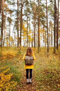 Arkadan bak. Sarı yağmurluklu neşeli bir yürüyüşçü güneşli bir günde ormanı keşfederken canlı bir sonbahar yeşilliğinin tadını çıkarır. Sonbahar manzarası.
