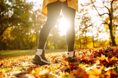 Güneş ışığı ağaçların arasından süzülerek canlı sonbahar yapraklarının arasında duruyor, yürüyüş botlarını gösteriyor ve mevsimin güzelliğinin tadını çıkarıyor. Açık hava yürüyüşü.