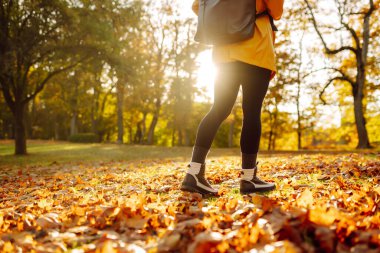 Güneş ışığı ağaçların arasından süzülerek canlı sonbahar yapraklarının arasında duruyor, yürüyüş botlarını gösteriyor ve mevsimin güzelliğinin tadını çıkarıyor. Açık hava yürüyüşü.