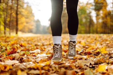 Canlı bir orman ortamındaki renkli yapraklarla çevrili sağlam çizmelerle sonbahar patikalarını keşfediyorum. Ormanda güzel bir sonbahar gününün tadını çıkarıyorum..