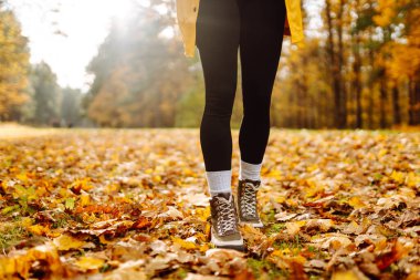 Canlı bir orman ortamındaki renkli yapraklarla çevrili sağlam çizmelerle sonbahar patikalarını keşfediyorum. Ormanda güzel bir sonbahar gününün tadını çıkarıyorum..