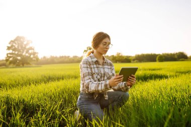 Ellerindeki tableti kapat. Bir çiftçi kadın, güneşin altın ışınları manzarayı aydınlatırken tabletine odaklanmış yeşil ve genç bir buğday tarlasında diz çöküyor. Akıllı çiftlik.
