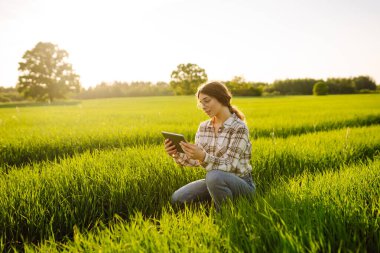 Ellerindeki tableti kapat. Bir çiftçi kadın, güneşin altın ışınları manzarayı aydınlatırken tabletine odaklanmış yeşil ve genç bir buğday tarlasında diz çöküyor. Akıllı çiftlik.