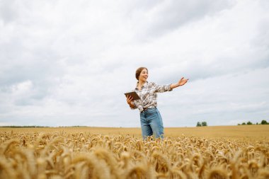 Buğday tarlasında oturan bir kadın, güneşli bir günde verileri kontrol etmek için tablet kullanıyor. Yazın sonlarında altın ekinlerle çevrili. Tarım, bahçıvanlık, iş veya ekoloji kavramı.