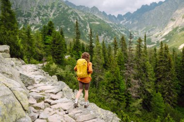 Yürüyüş yapan biri, öğleden sonra güneşinin altında yemyeşil bir arazide kayalık bir patikada yürürken temiz dağ havasının tadını çıkarır. Etkin bir yaşam biçimi kavramı.