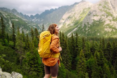 Yürüyüş yapan biri, öğleden sonra güneşinin altında yemyeşil bir arazide kayalık bir patikada yürürken temiz dağ havasının tadını çıkarır. Etkin bir yaşam biçimi kavramı.