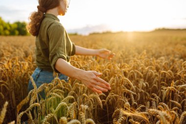 Bir kadın gün batımında olgunlaşmış buğdayı tarımın ve hasat zamanının güzelliğini gösteren altın bir tarlada inceliyor. Hasat. Agrobusiness.