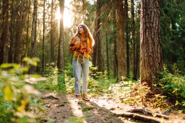 Genç bir kadın güneşli bir öğleden sonra yürüyüşü sırasında renkli yapraklarla dolu canlı bir sonbahar ormanını keşfediyor. Sonbahar manzarası.