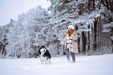 Genç bir kadın kış ormanında köpeğiyle yürür. İri köpek. Evcil hayvan sahibi köpeğini dışarıda gezdirmekten hoşlanır. Dostluk konsepti, evcil hayvanlar.