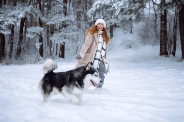Genç bir kadın kış ormanında köpeğiyle yürür. İri köpek. Evcil hayvan sahibi köpeğini dışarıda gezdirmekten hoşlanır. Dostluk konsepti, evcil hayvanlar.