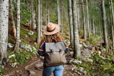 Genç bir kadın, uzun ağaçlarla çevrili güneşli bir ormanda duruyor. Seyahat, doğa, yürüyüş konsepti.