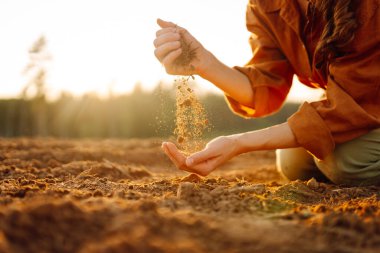 Yakın çekim eller sahada toprağa dokunuyor. Dişi çiftçi buğday ekmeden önce toprak kalitesini kontrol ediyor. Tarım, bahçıvanlık veya ekoloji kavramı.