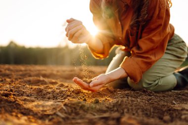 Yakın çekim eller sahada toprağa dokunuyor. Dişi çiftçi buğday ekmeden önce toprak kalitesini kontrol ediyor. Tarım, bahçıvanlık veya ekoloji kavramı.