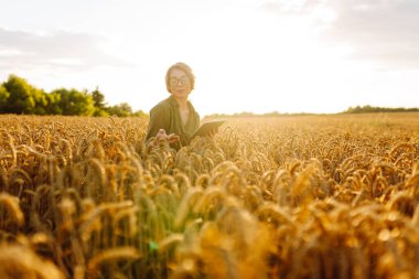 Akıllı çiftlik. Buğday tarlasında dijital tabletli genç bir kadın çiftçi. Tarım, bahçıvanlık, iş veya ekoloji kavramı.