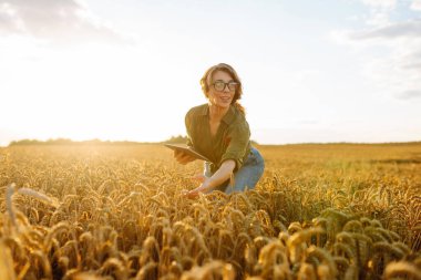 Akıllı çiftlik. Buğday tarlasında dijital tabletli genç bir kadın çiftçi. Tarım, bahçıvanlık, iş veya ekoloji kavramı.