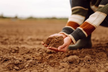 Çiftçinin dişi eli, sebze veya bitki tohumu yetiştirmeden önce toprağı ve toprak sağlığını kontrol eder. Toprak, toprak. Tarım, bahçıvanlık veya ekoloji kavramı.
