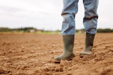 Tarlada yürüyen lastik çizmeli bir çiftçinin bacakları. Bahçe ve ekoloji kavramı.