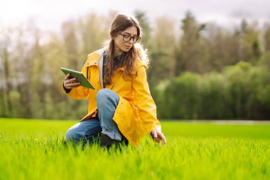 Yeşil tarlada tablet kullanan genç bir çiftçi kadın. Akıllı çiftlik. Teknoloji kavramı, bahçıvanlık. Zengin hasat.