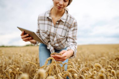 Akıllı çiftlik. Büyüme dinamikleri. Tarlada tableti olan genç bir kadın çiftçi..