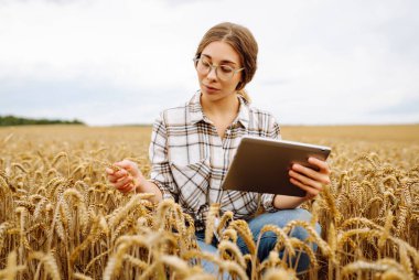 Akıllı çiftlik. Büyüme dinamikleri. Tarlada tableti olan genç bir kadın çiftçi..