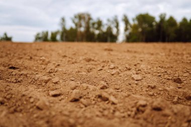 Kırsal alan. Bitkiler, sebzeler, gün batımında tohum ekmeden önce hazırlanan kara toprağın yakın çekimi. Bereketli toprak dokusu.