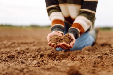 Women's hands sort through black soil in the field. Expert farmer checking soil health before growth a seed or plant seedling. Nature healthy food.