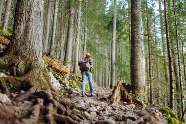Sırt çantalı bir kadın sık ormanda yer yolunda yürüyor. Temiz hava ve vahşi doğa. Yürüyüş.