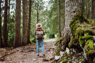 Sırt çantalı bir kadın sık ormanda yer yolunda yürüyor. Temiz hava ve vahşi doğa. Yürüyüş.